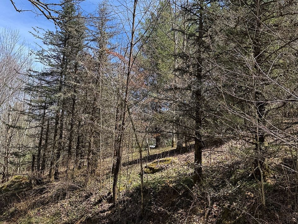 1st image of Big Sky Ln