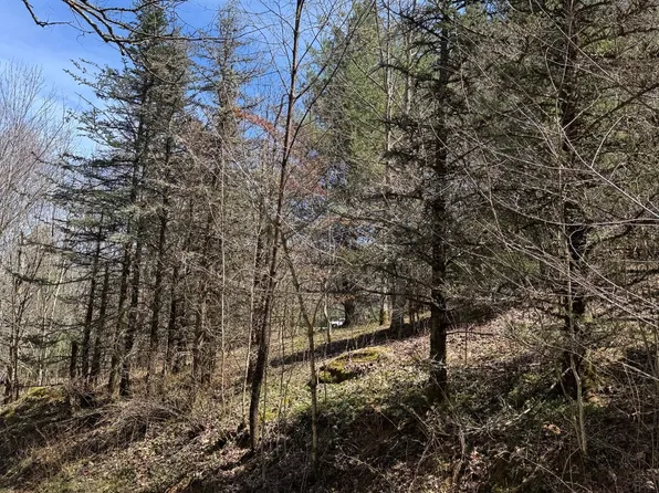 Big Sky Ln, Banner Elk, NC 28604