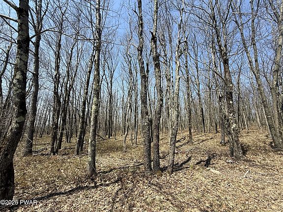 2nd image of Salem Mountain Rd