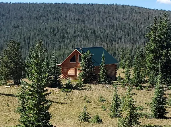 6507 Moose Road, Fort Garland, CO 81133