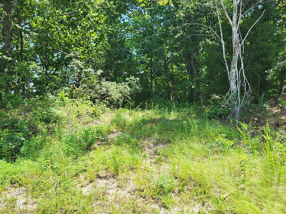 2nd image of 9 Birdsong Rd