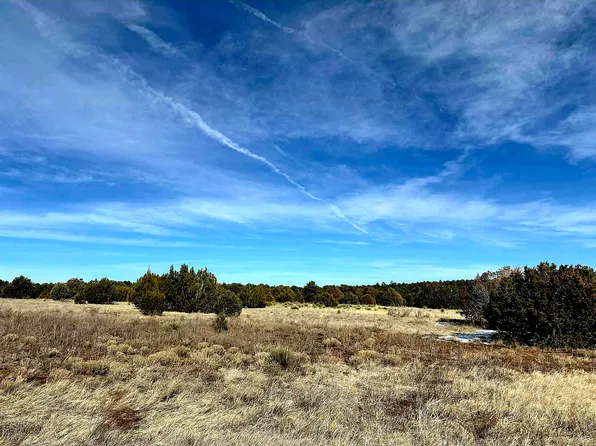 162 State Highway 217, Edgewood, NM 87015