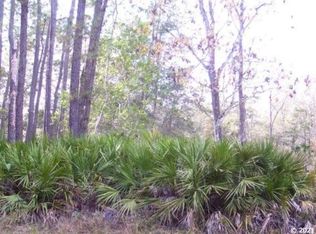 101 Del Monaco Ave, Interlachen, FL 32148