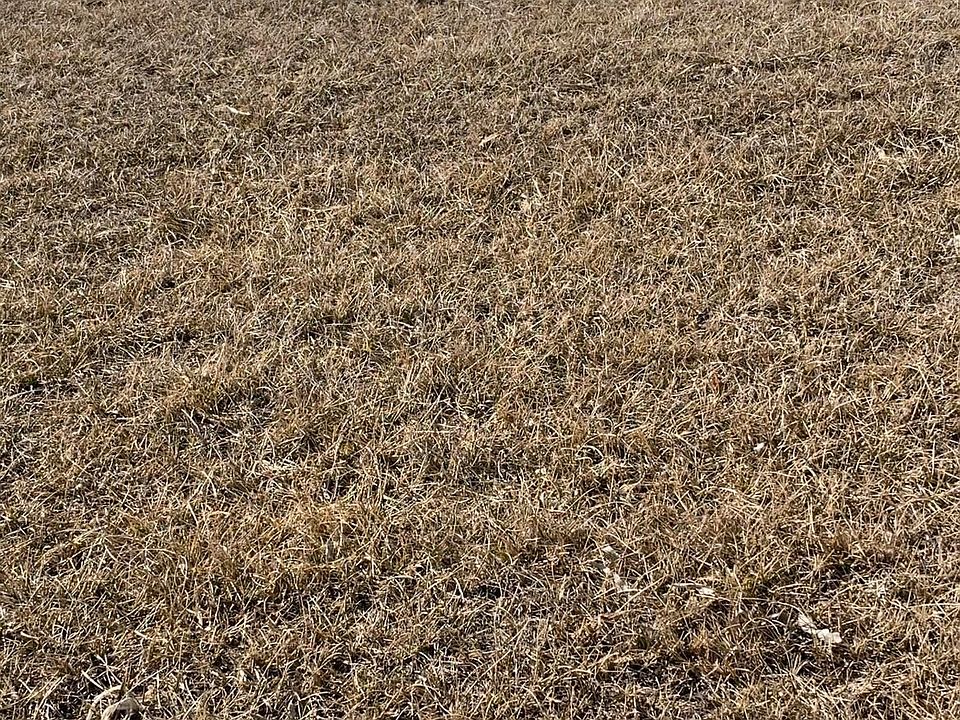 2nd image of 612 Nebraska Ave