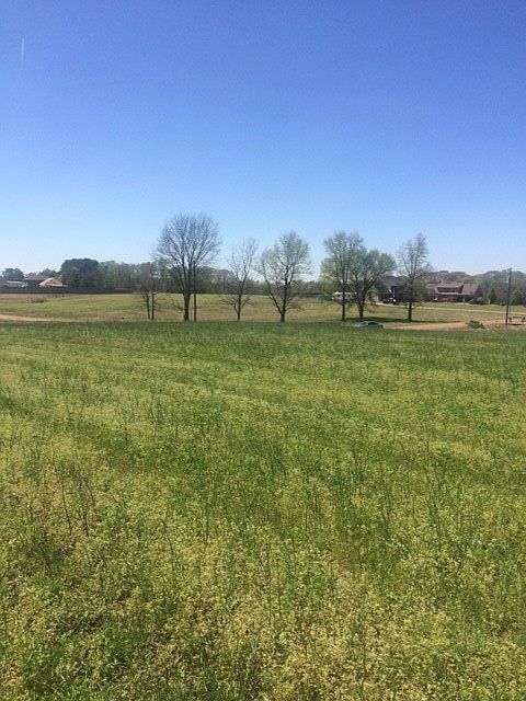 beautiful elevated home site