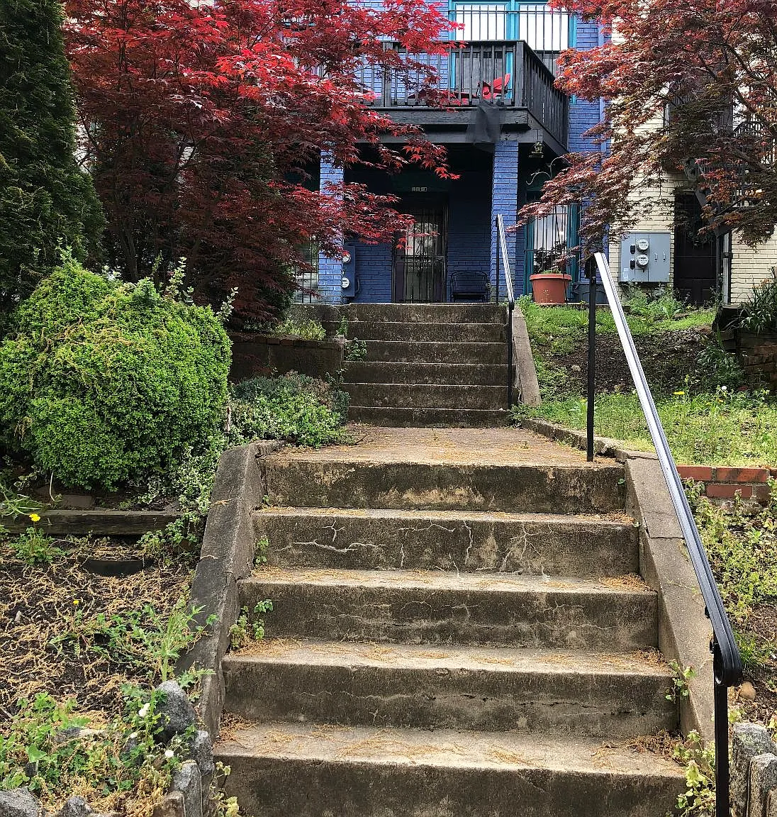 2 bed, 1.5 bath, 1250 sqft, $3,250 — Photo 1