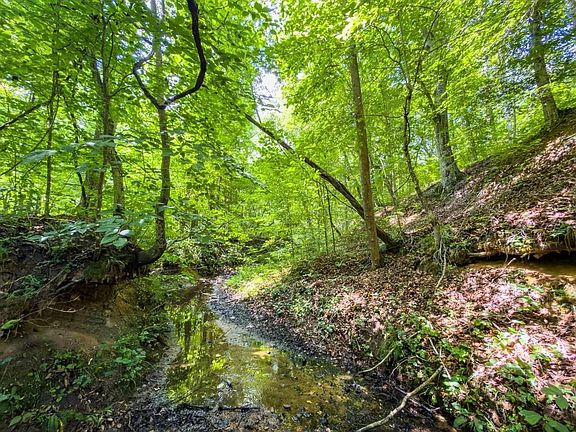 Caswell Co Nc 49 36 Coa Lot3 003