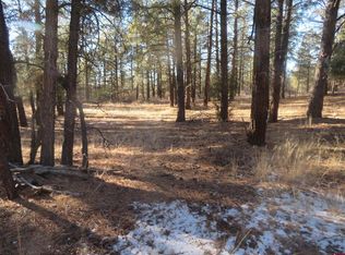 553 Crooked Rd, Pagosa Springs, CO 81147