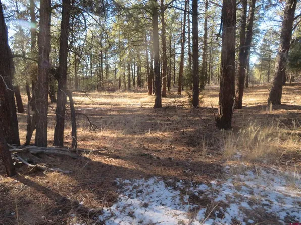 553 Crooked Road, Pagosa Springs, CO 81147