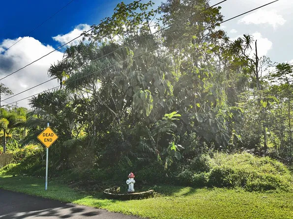 Opae St Lot 1597, Pahoa, HI 96778