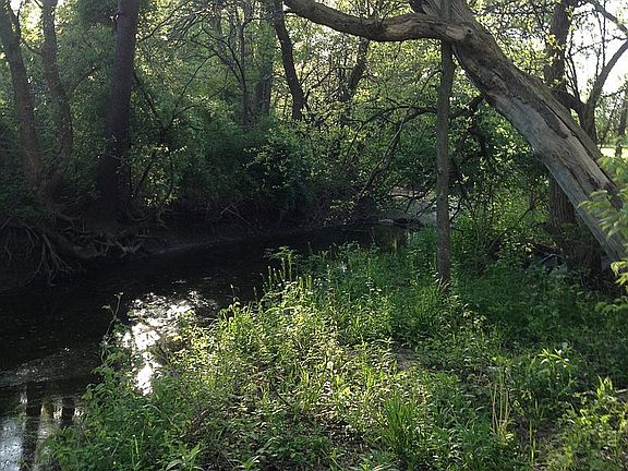 backyard (Moccasin Creek)