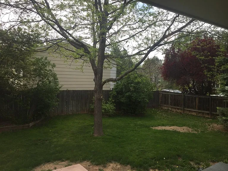 413 Larkbunting Dr — Photo 11