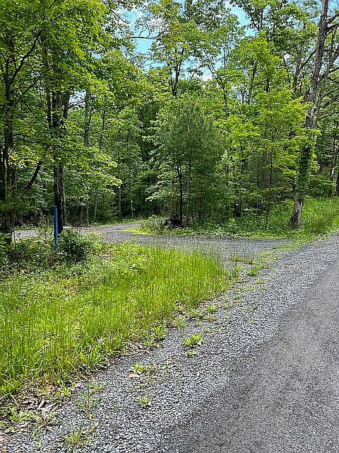 2nd image of Rolly Rd