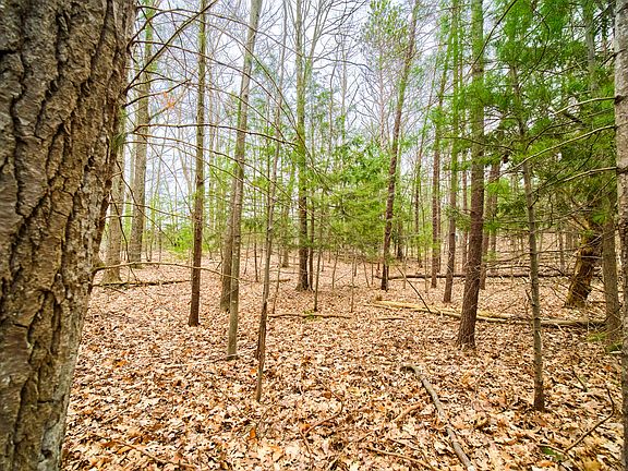 2nd image of Piney Rd