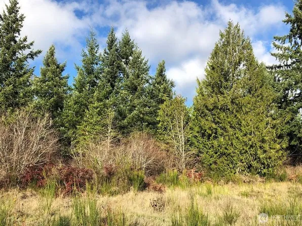 14623 Lindsay Loop Se, Yelm, WA 98597