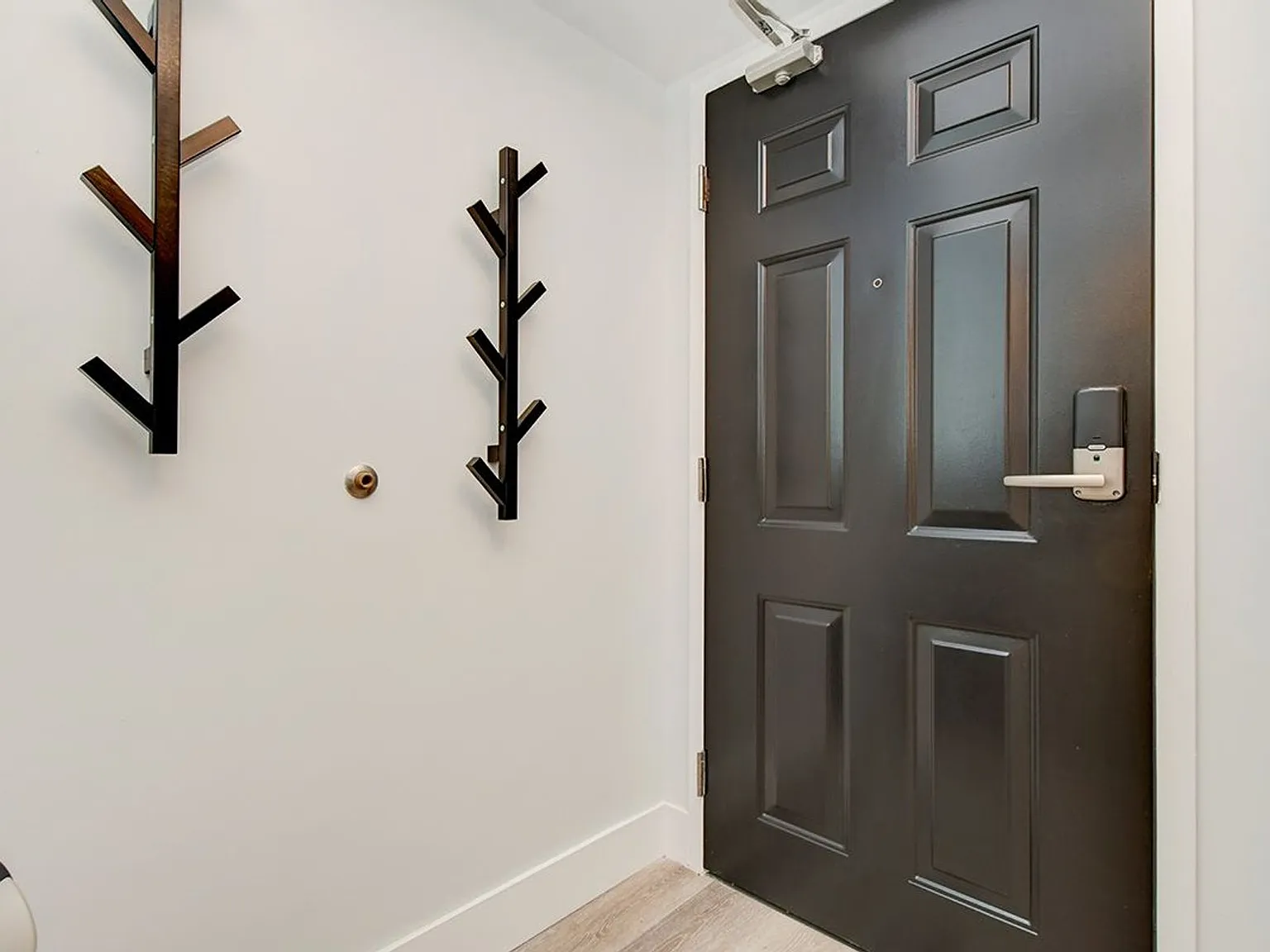 330 McLeod St — Photo 3