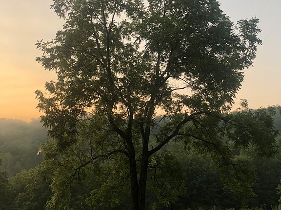 92nd image of this home