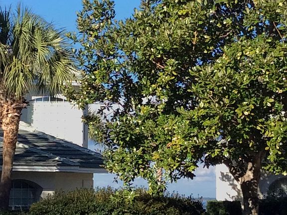 4th image of 8 W Emerald Bay Dr