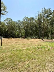 17184 County Road 479 Lot 2, Lindale, TX, 75771