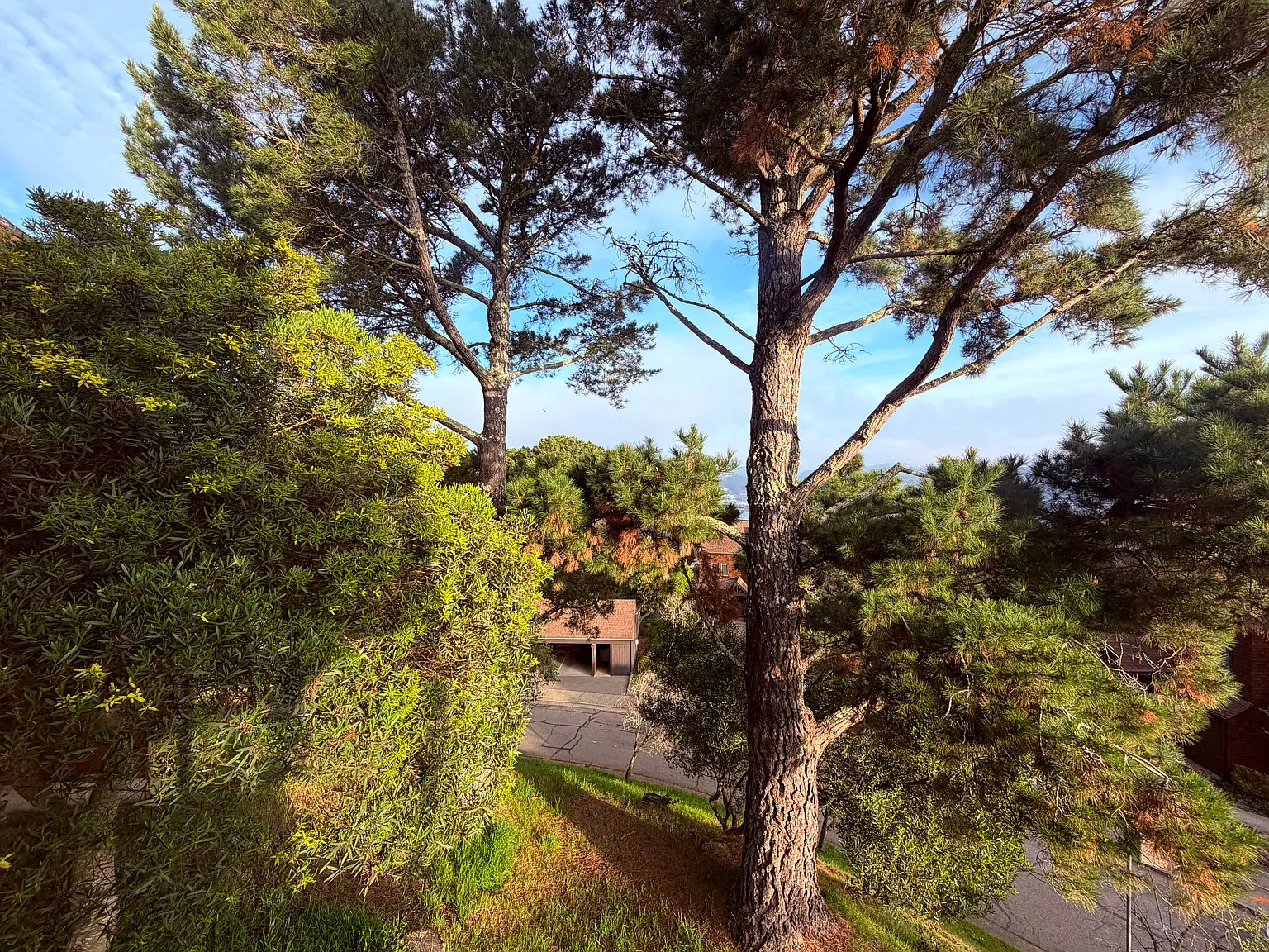 446 Headlands Ct — Photo 3