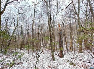 1843 Wintergreen Dr, Roseland, VA 22967