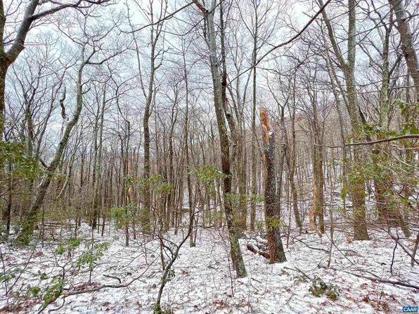 1843 Wintergreen Dr, Roseland, VA 22967