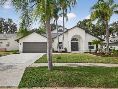 4849 Musselshell Dr, New Port Richey, FL, 34655