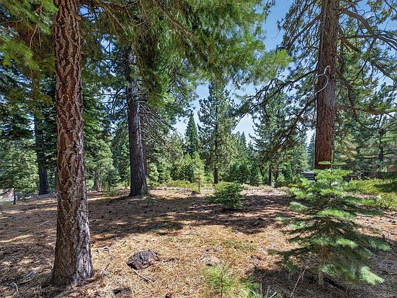 5th image of 11918 Saddleback Dr