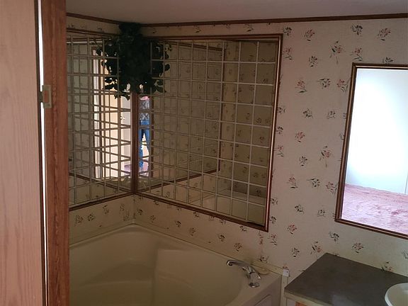 Master bath with garden tub