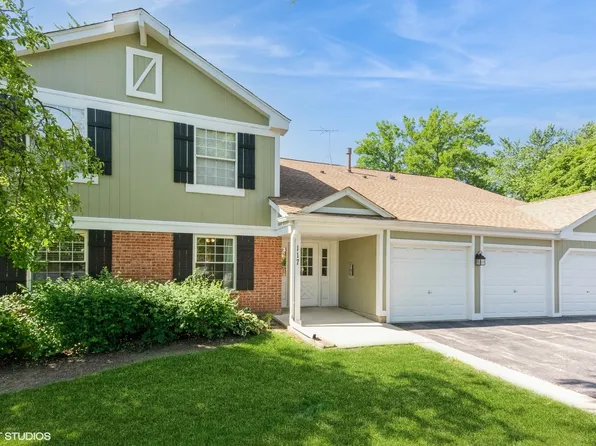 117 Cleveland Ct Unit N1, Schaumburg, IL 60193