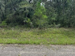875 E Elston Pl, Citrus Springs, FL 34434