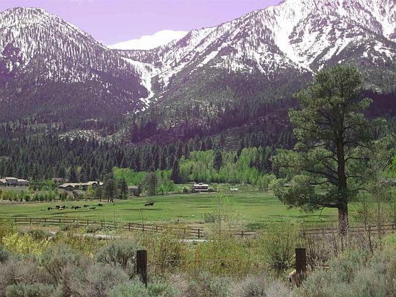 4th image of 261 Sierra Country Cir