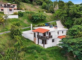 Carr 162 Bo Cuyon, Aibonito, PR 00705