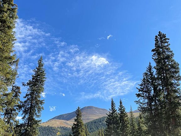 Views from the great room