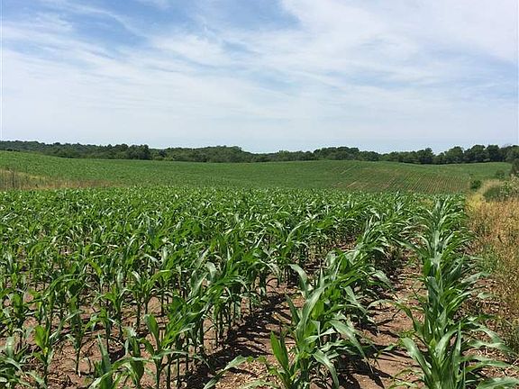 5th image of Blue Mounds St