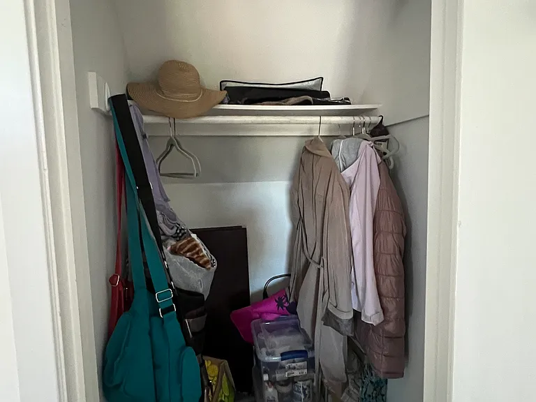 Large closet under staircase