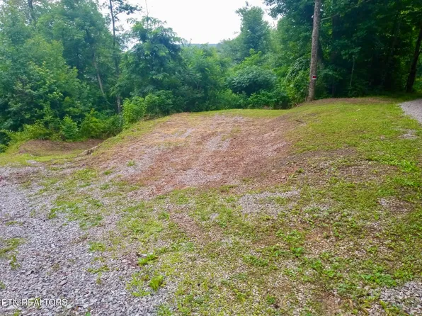 Roe Ln, Winfield, TN 37892