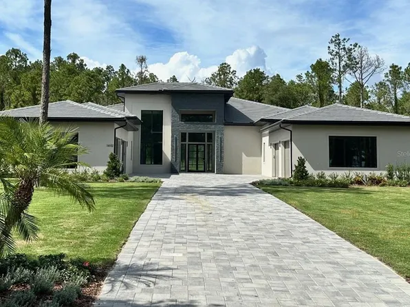 16102 Pendio Dr, Montverde, FL 34756