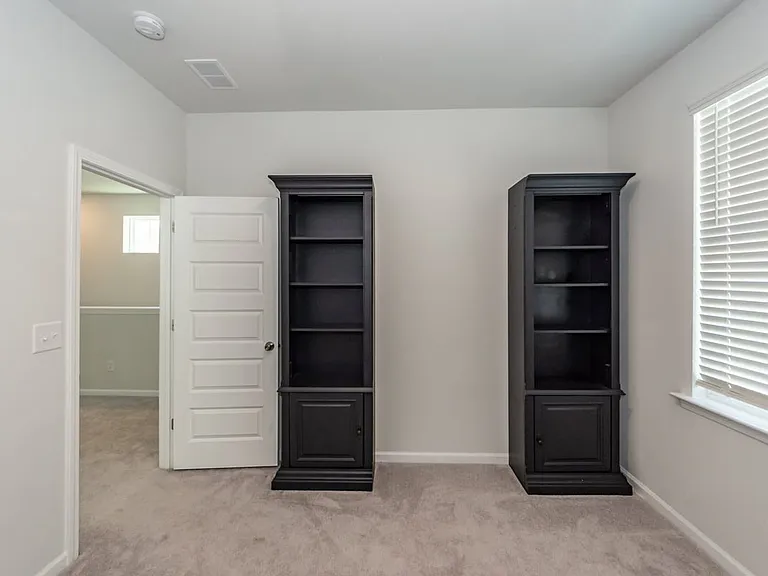 214 Narrowleaf Ave — Photo 108