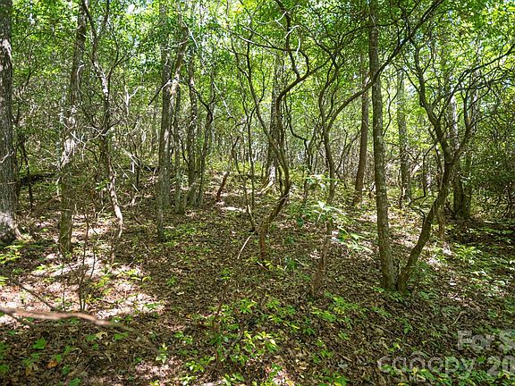 5th image of Tbd Blue Ridge Rd
