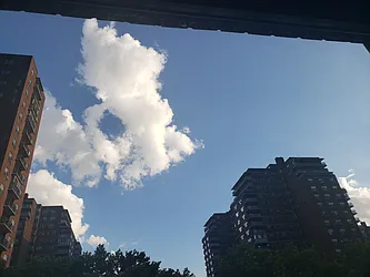 Rented by Michael J Gregg Real Estate