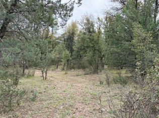 117 N Rifle Barrel Rd #41, Young, AZ 85554