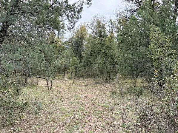 117 N Rifle Barrel Road #41, Young, AZ 85554