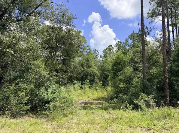 0 NE 77th Pl, Bronson, FL 32621