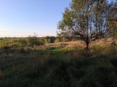 Lt0 E NEDA ROAD, Iron Ridge, WI, 53035