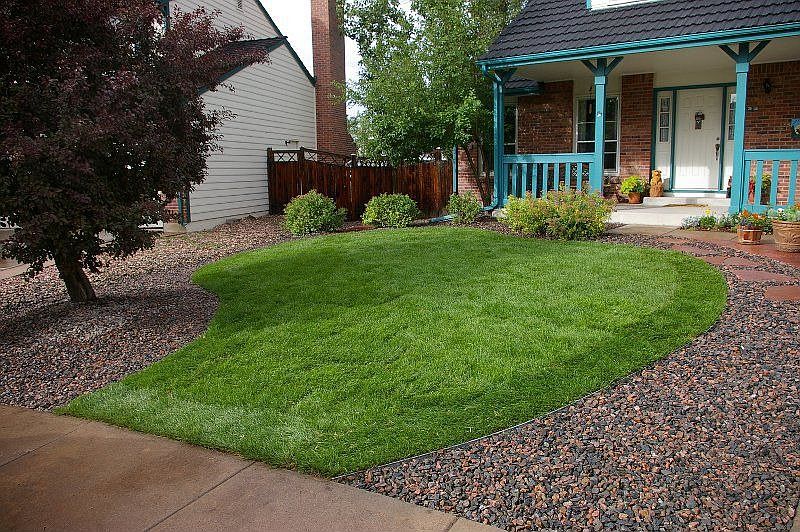 new (2006) landscaping at front