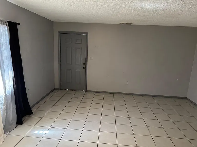 2458 Chestnut Woods Dr #2458 — Photo 2
