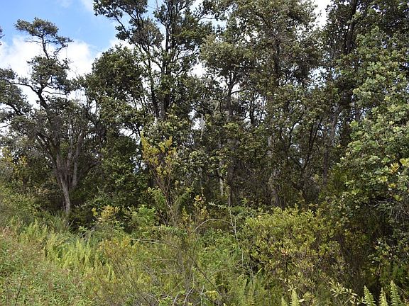 3rd image of 92-8532 Reef Pkwy Lot 23