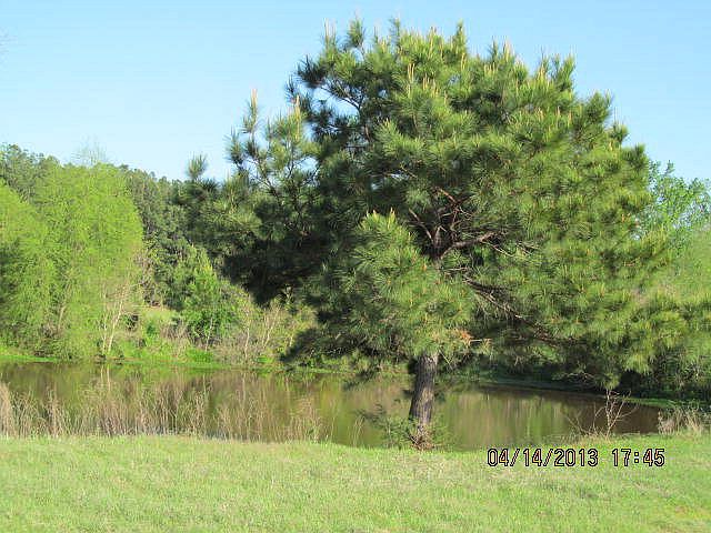 1st image of 22173 State Highway 135