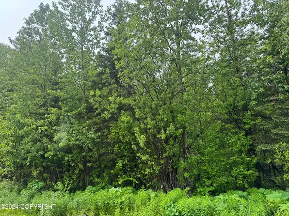 17561 E Castle Rock Ln, Palmer, AK 99645